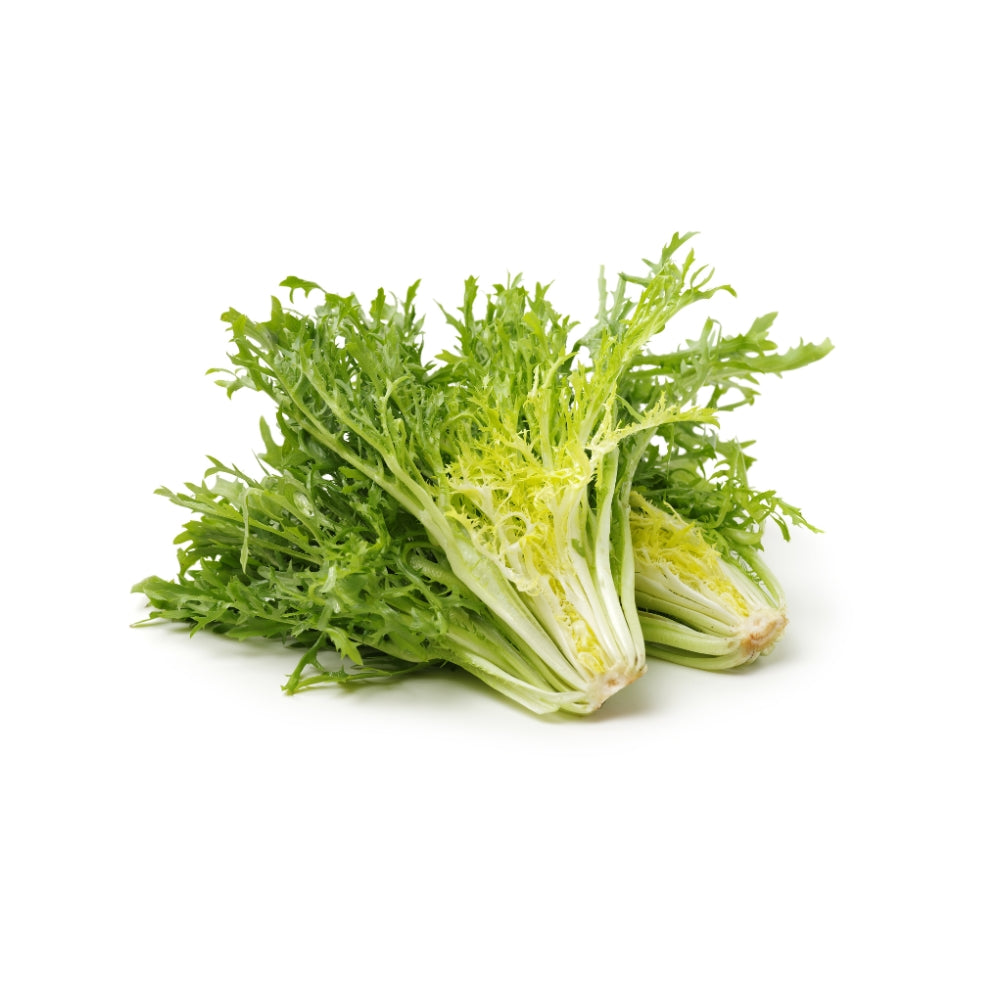 INDIVIA RICCIA SICILIA