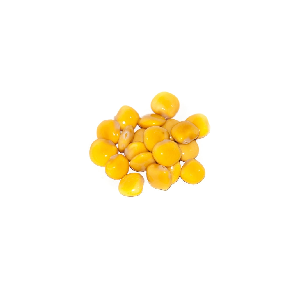 LUPINI SALATI