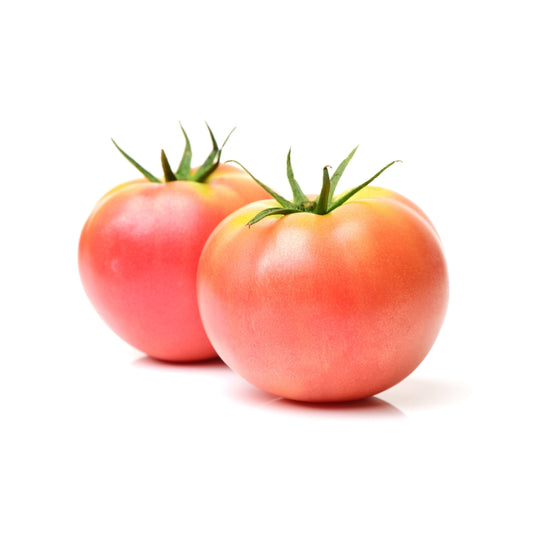 POMODORO TONDO VERDE