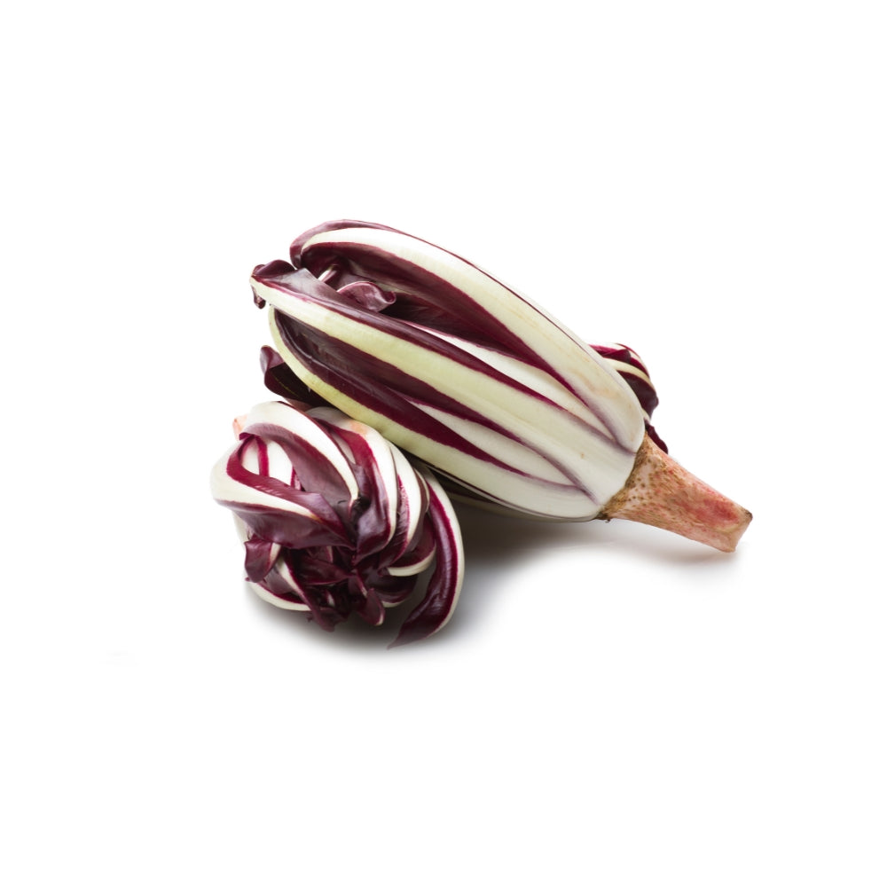 RADICCHIO TREVIGIANO PRECOCE
