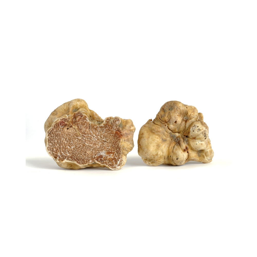 TARTUFI