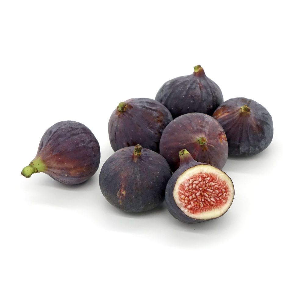 FICHI NERI