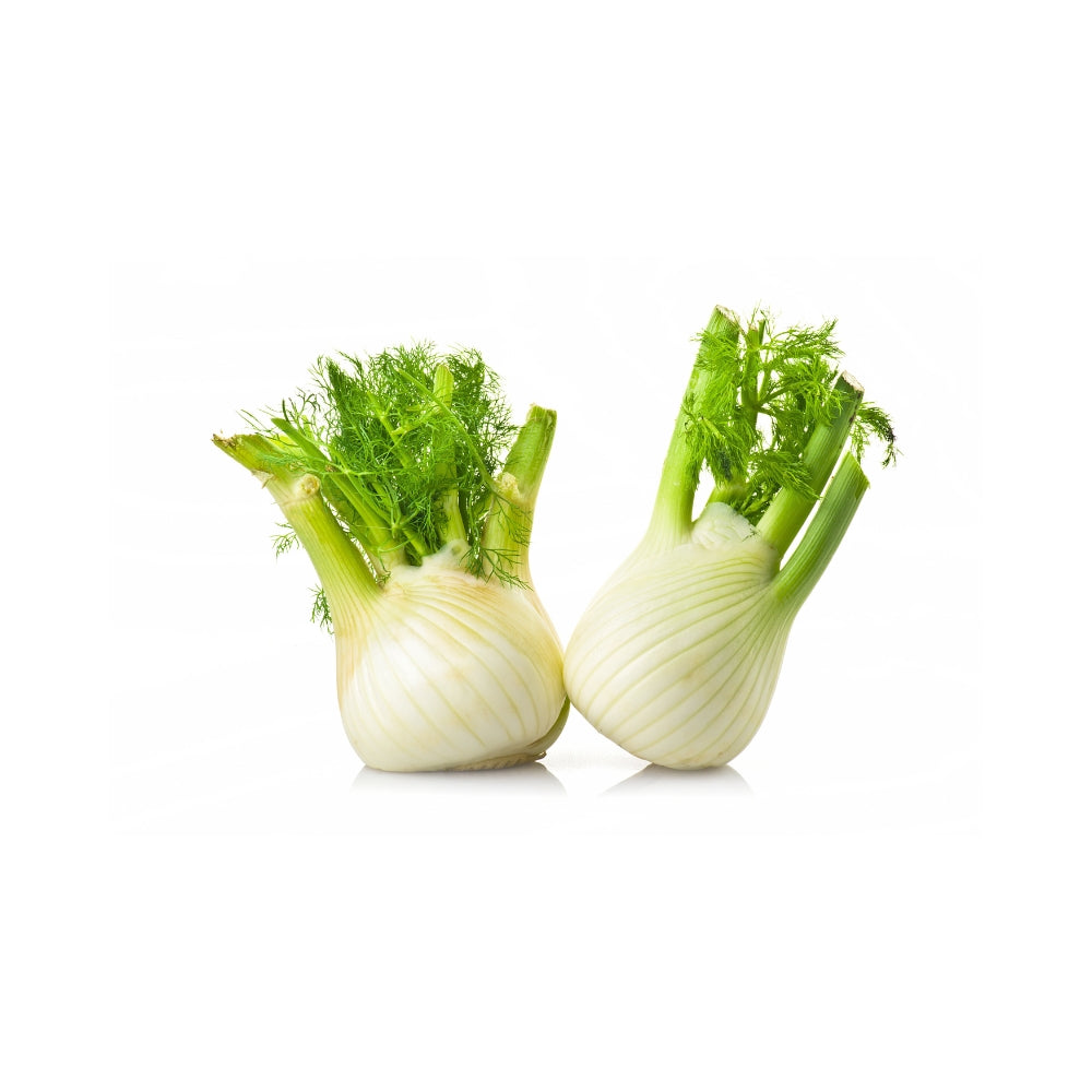 FINOCCHIO