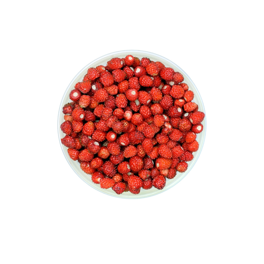 FRAGOLINE