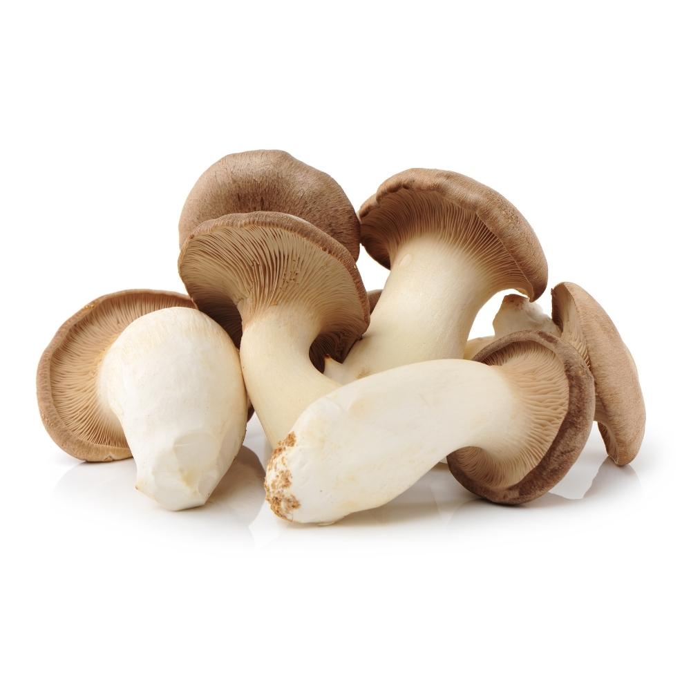 FUNGHI DI FERLA