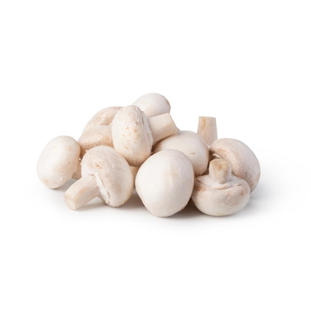FUNGHI CHAMPIGNON