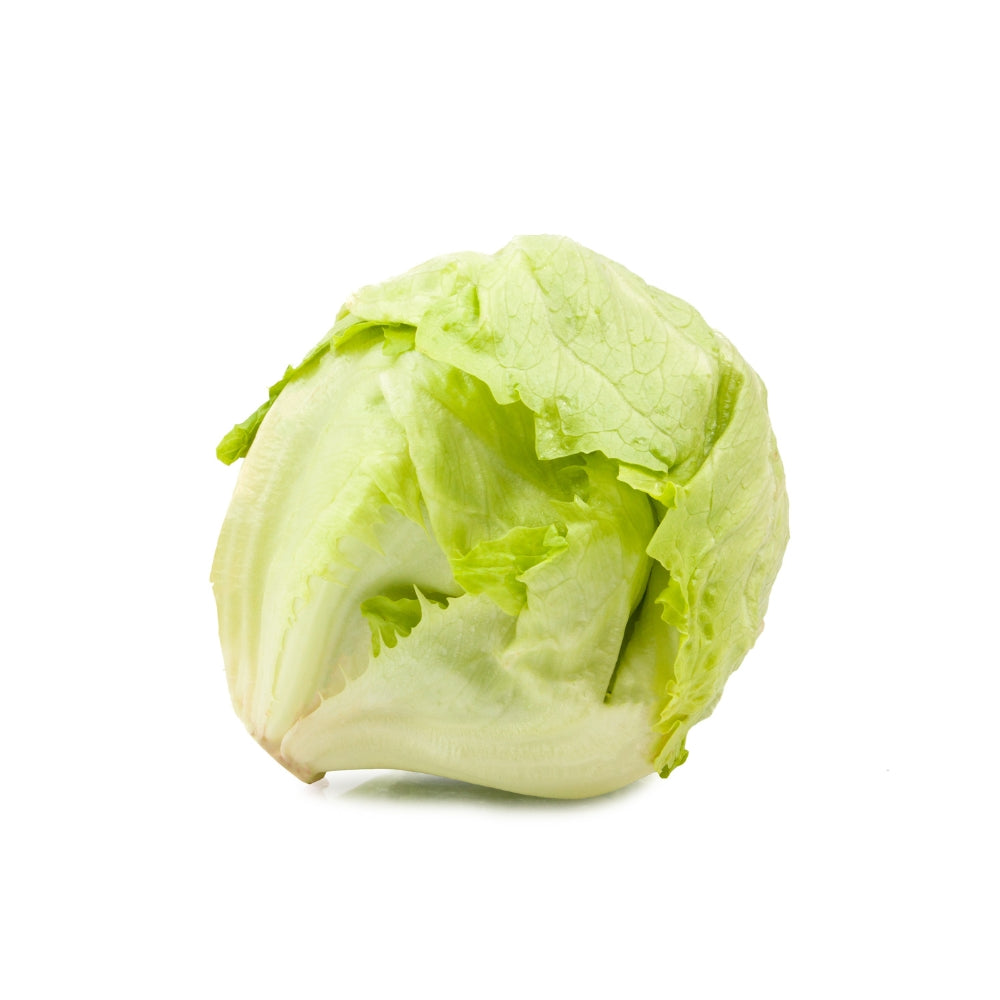 ICEBERG