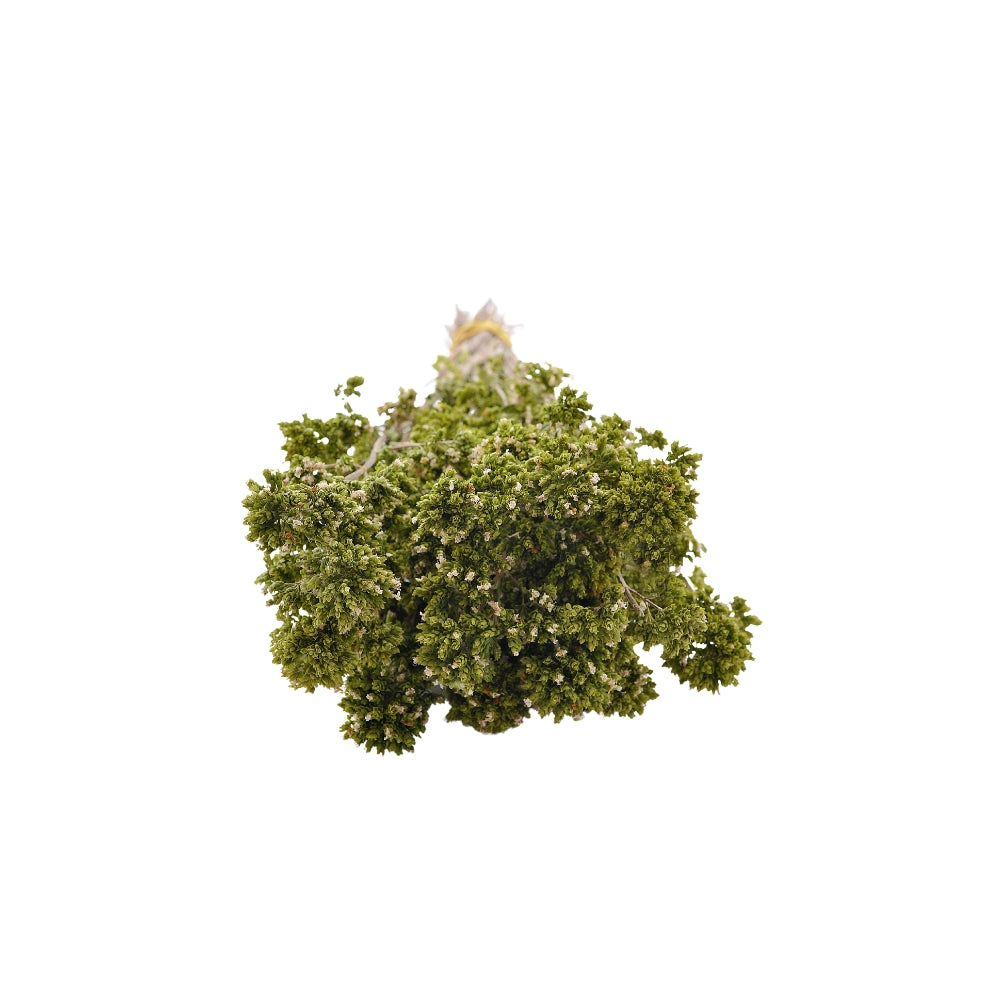ORIGANO A MAZZI