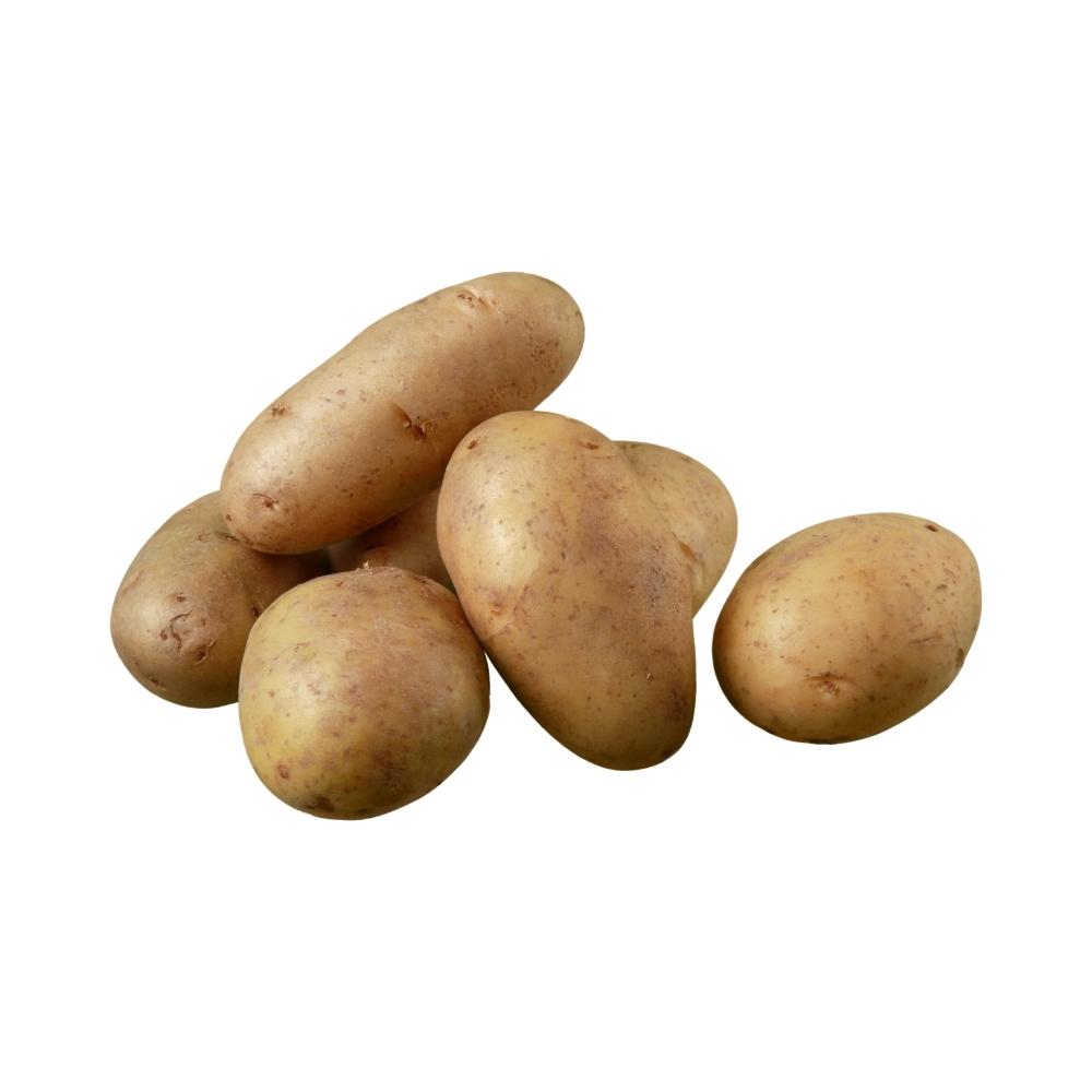 PATATE SILANE