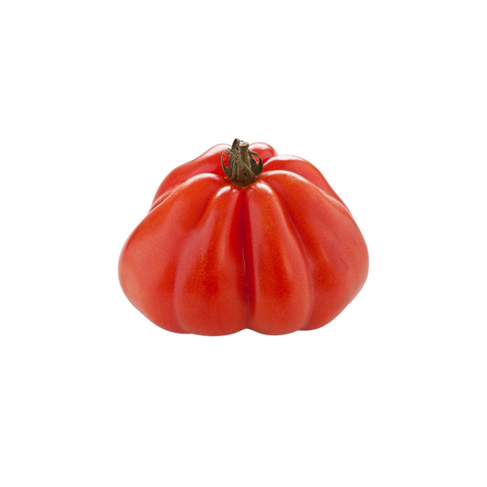 POMODORO CUORE DI BUE