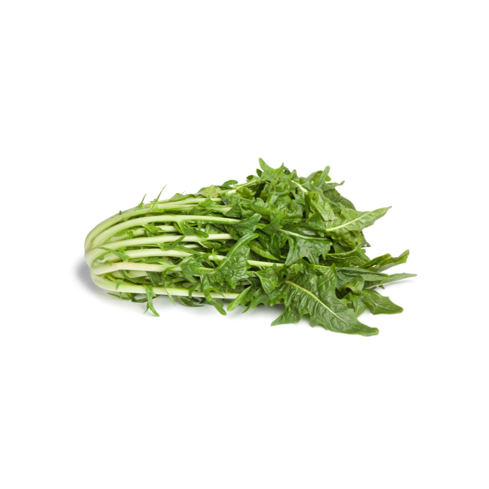 PUNTARELLE DI CICORIA