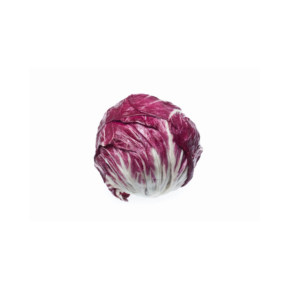 RADICCHIO TONDO