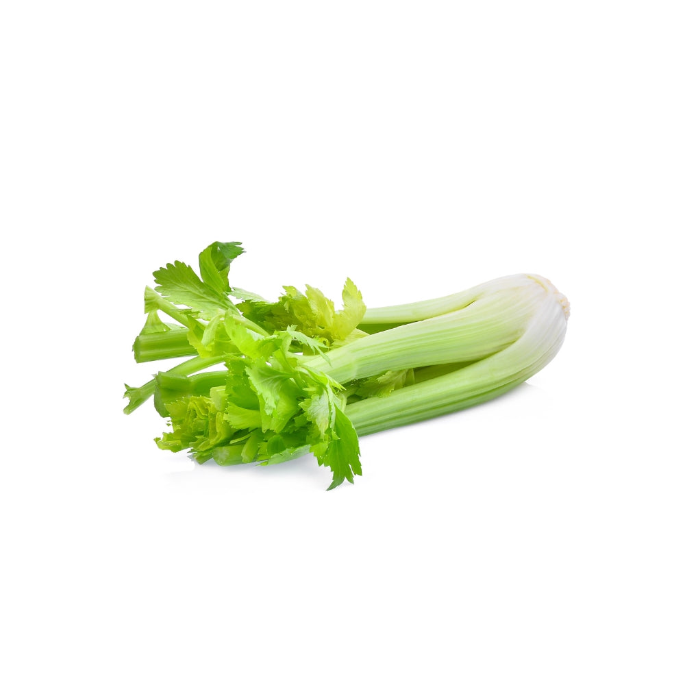 SEDANO