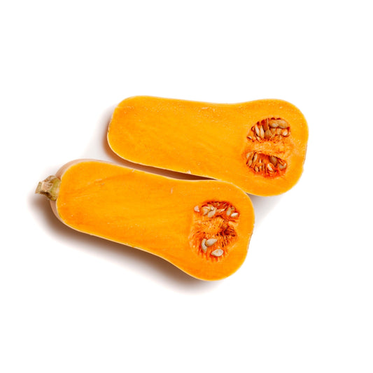 ZUCCA BUTTERNUT