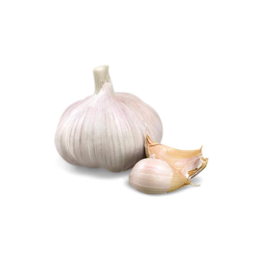 AGLIO BIANCO