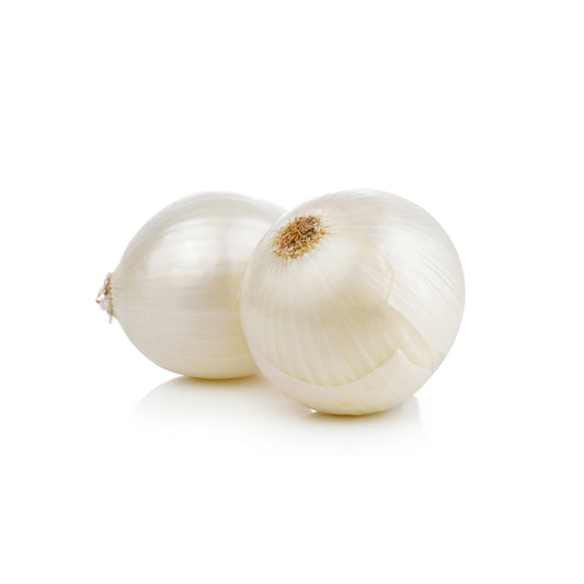 CIPOLLA BIANCA TONDA