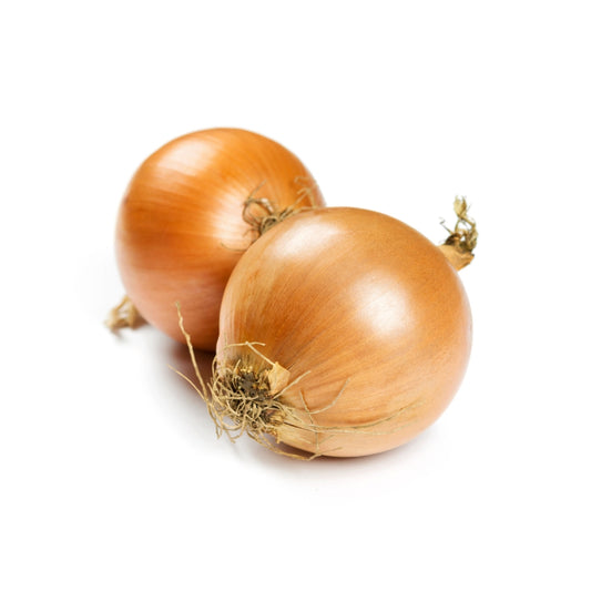 CIPOLLA DORATA TONDA