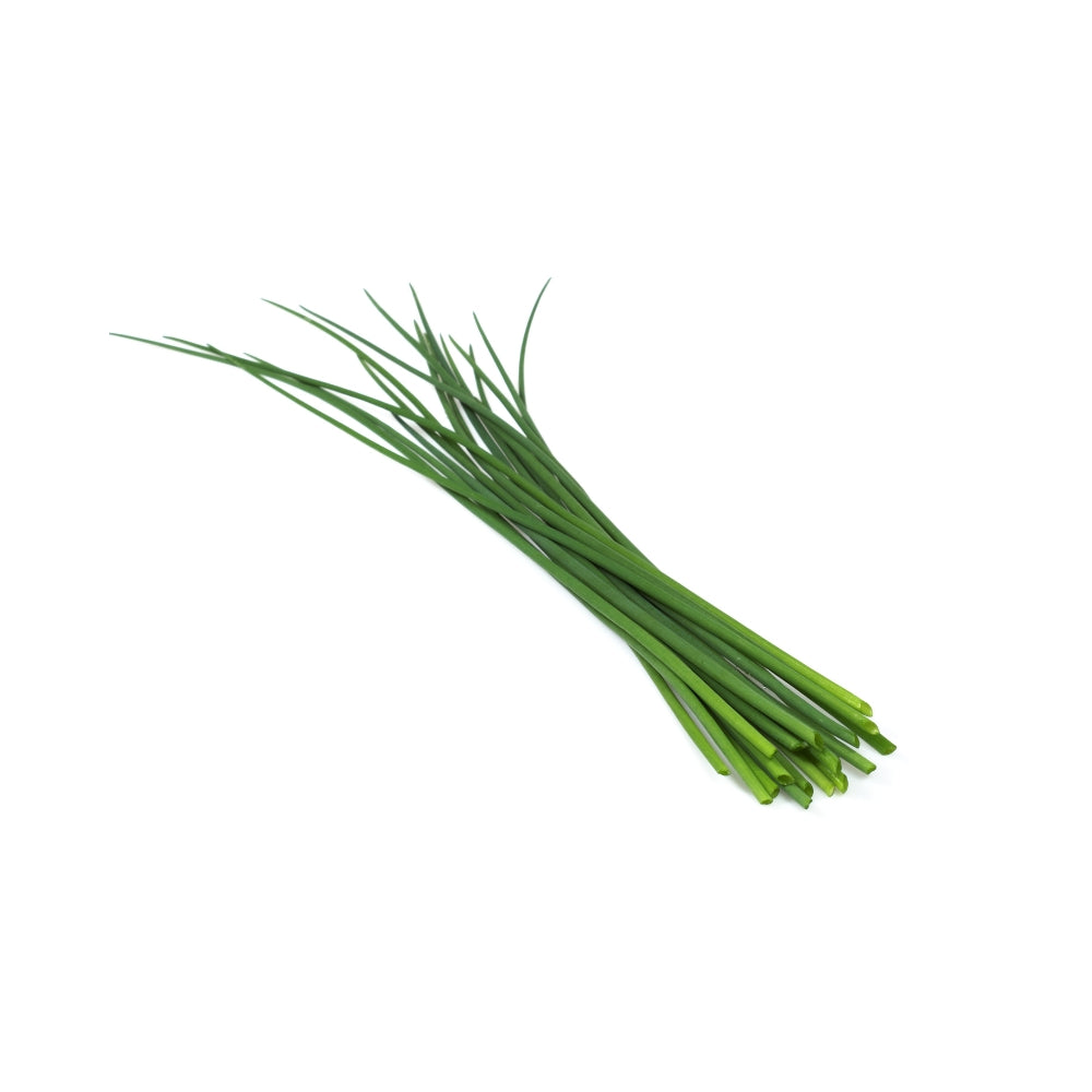 ERBA CIPOLLINA
