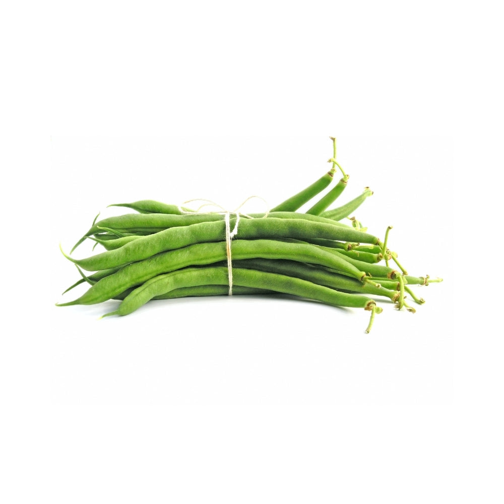 FAGIOLINI